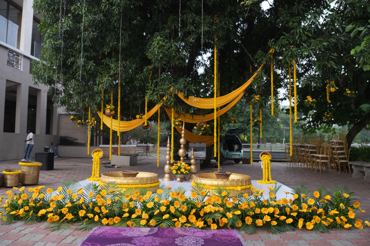 Haldi